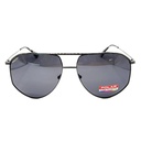 Polar - GOLD 309 COL.48_F 64[]16 148 SUPER POLARIZED