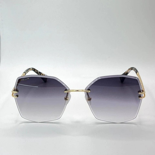 Polar - GOLD 6003 Col. 02_F